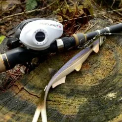 Quantum Accurist Baitcast AT101 HPT -Metsästys Verkäufe 22 570101 6