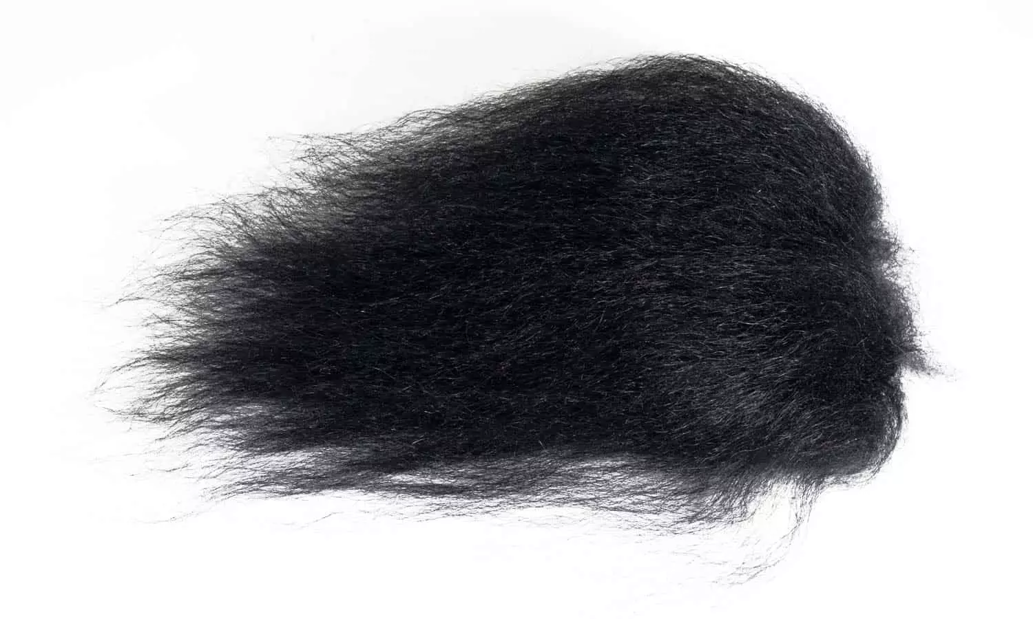 A.Jensen Himalayan Sheep 1 A.Jensen Himalayan Sheep