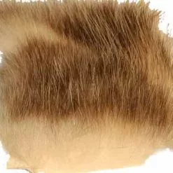 A.Jensen American Opossum